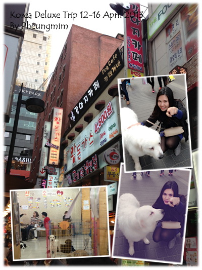 Dog Cafe §