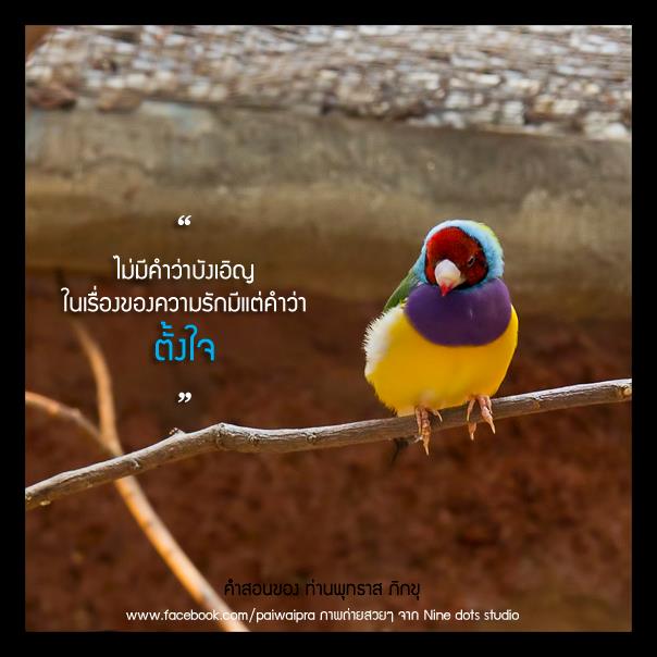 My Image 2