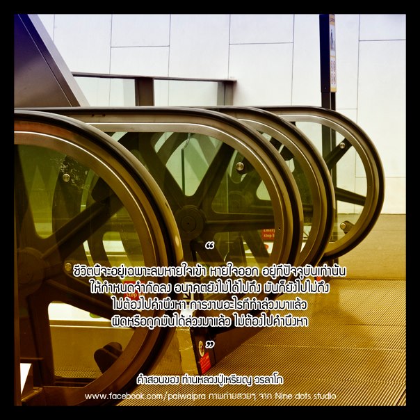 My Image 8