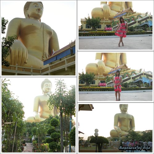 My Image 16
