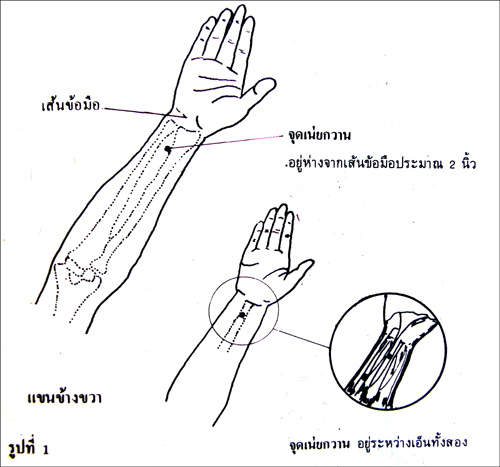 My Image 41