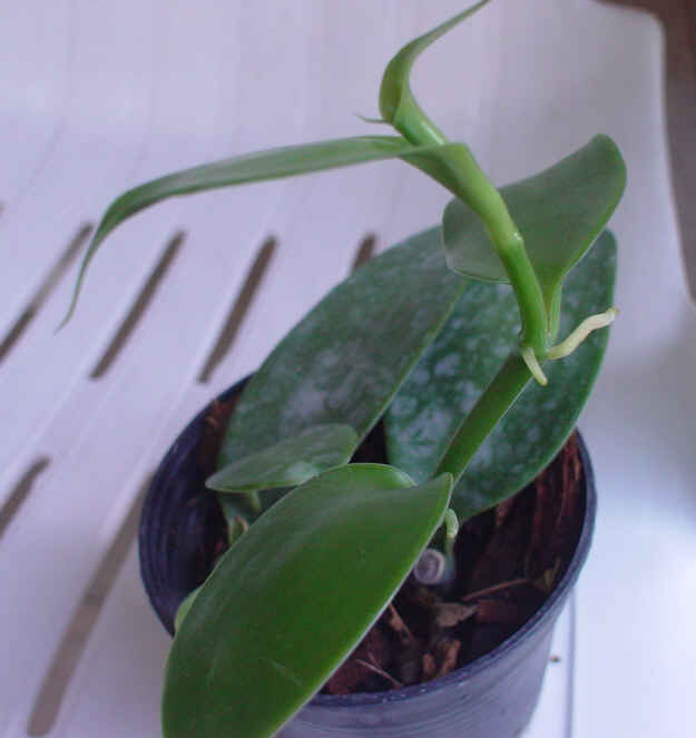 My Image 9