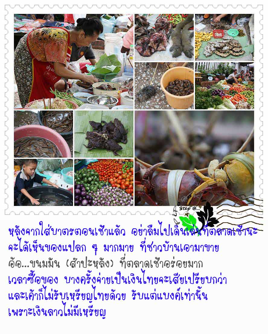 My Image 45