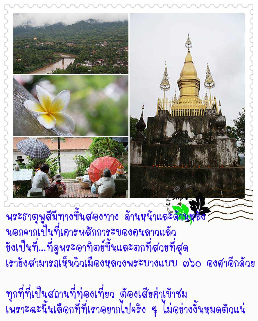My Image 12