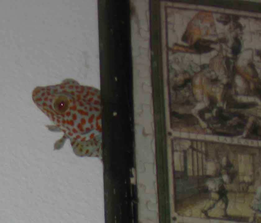 My Image 32