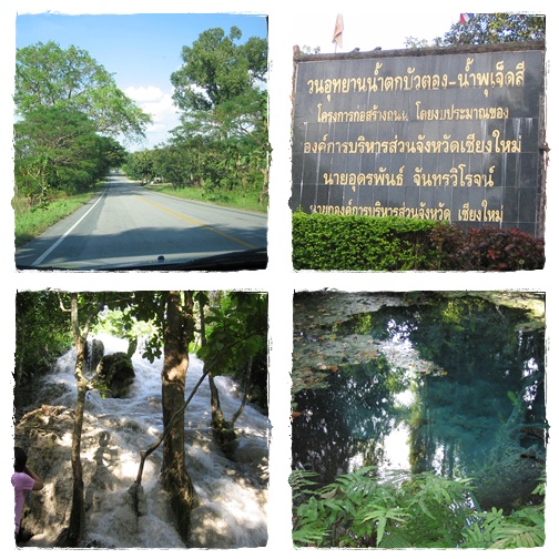 My Image 7
