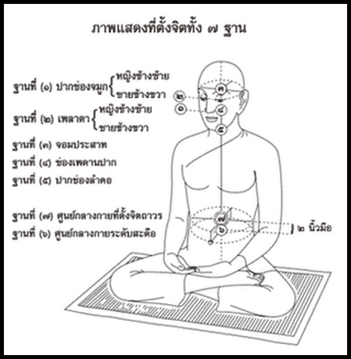 My Image 67