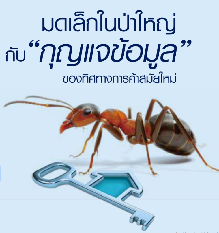 My Image 37