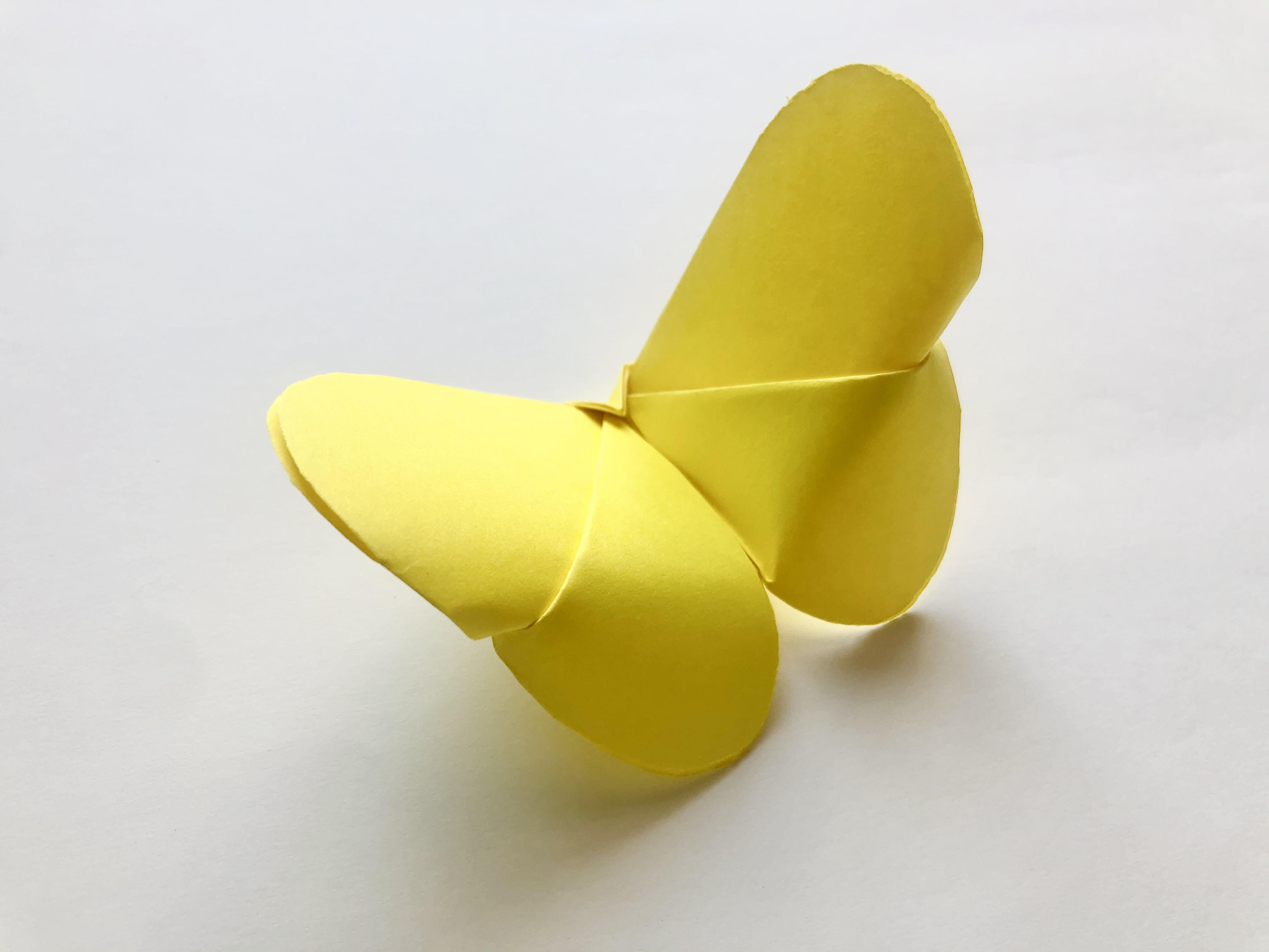 How to make a paper butterfly