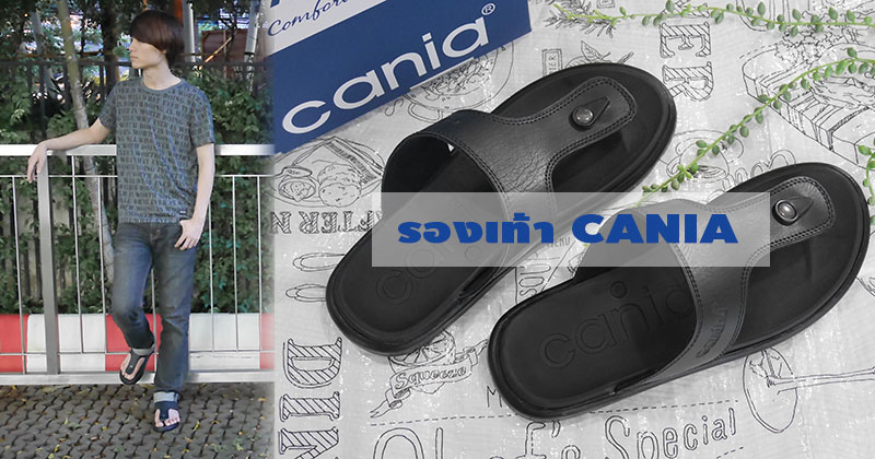 ͧ CANIA