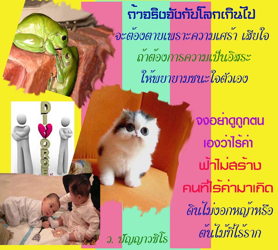 My Image 35