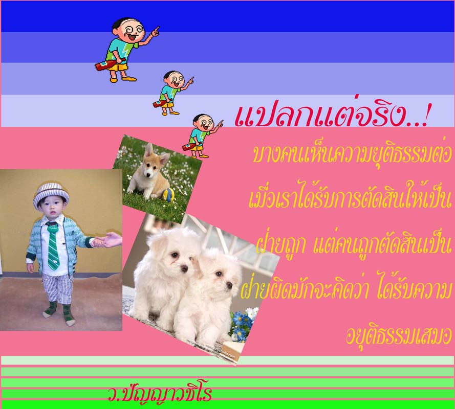 My Image 12