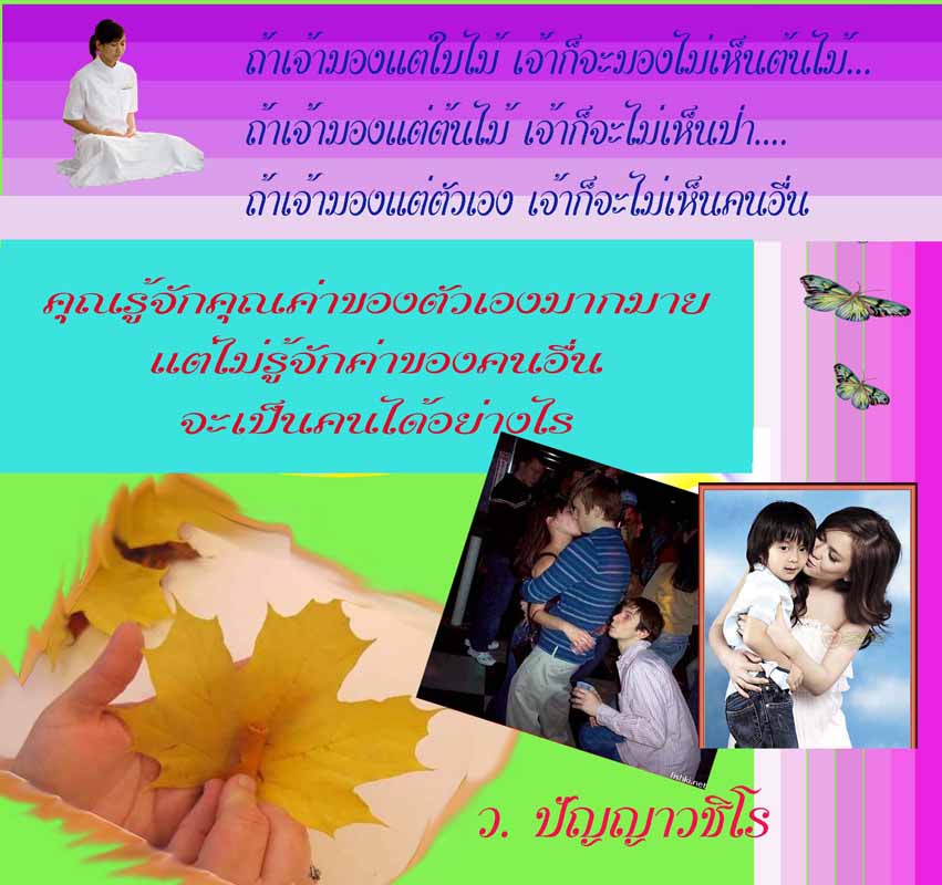 My Image 40
