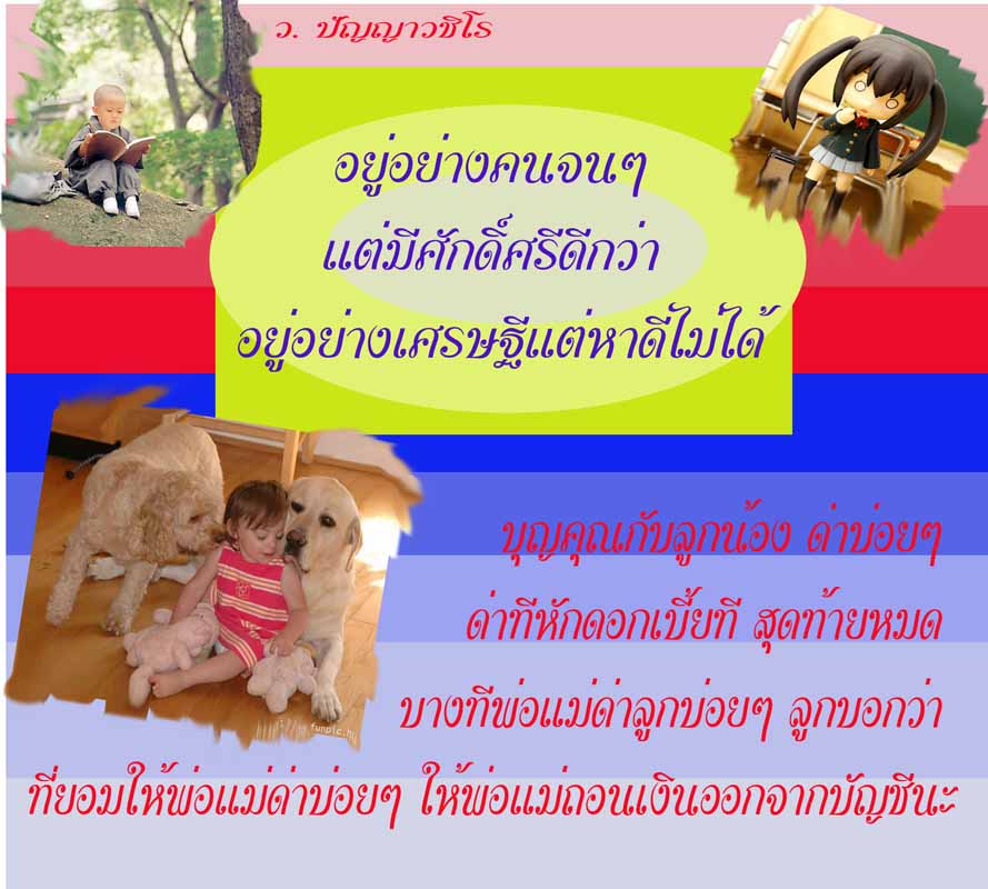 My Image 73