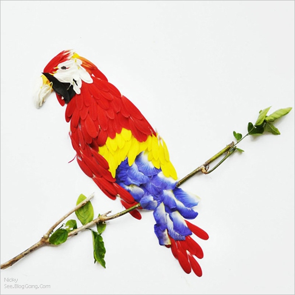 My Image 26