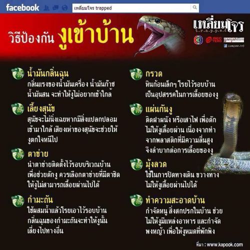 My Image 63