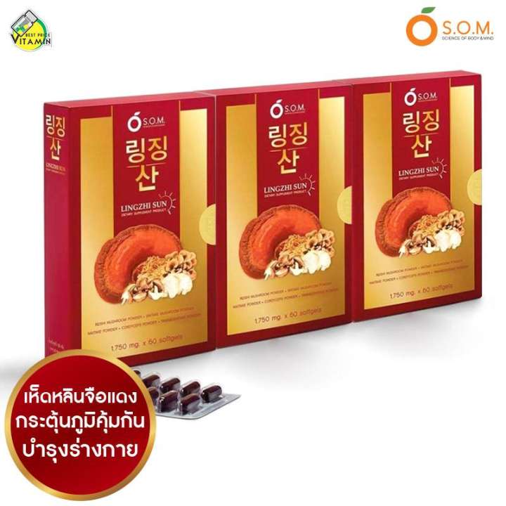 Lingzhi Sun หลินจือ ซัน กระตุ้นภูมิคุ้มกัน บำรุงร่างกาย