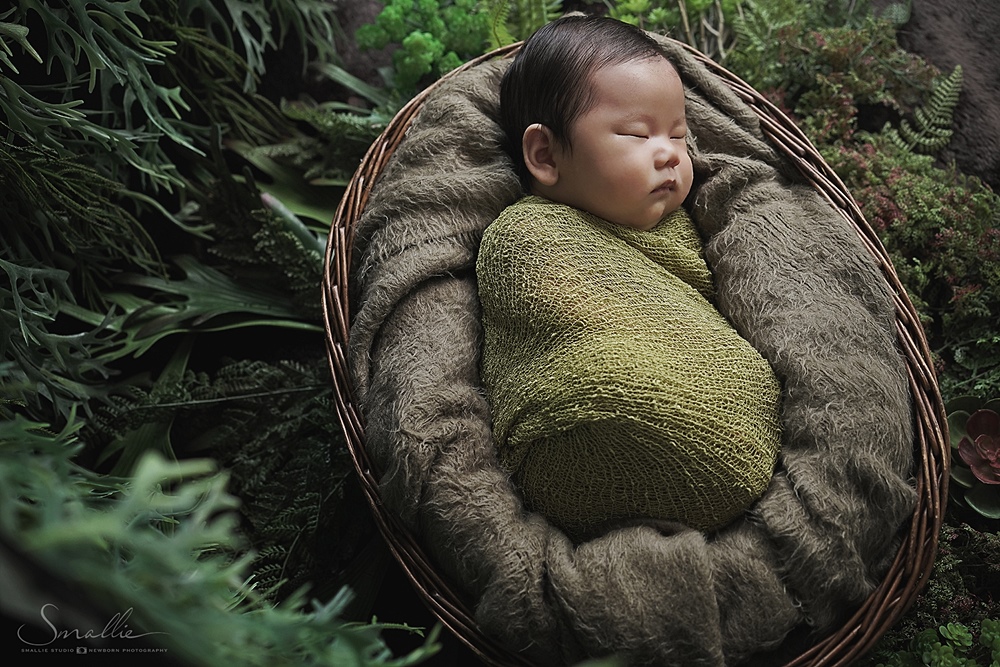 newborn photography by smallie studio in forest theme