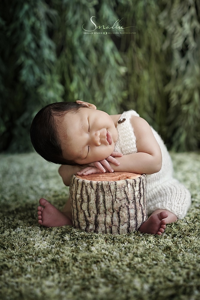 sleeping newborn on stump
