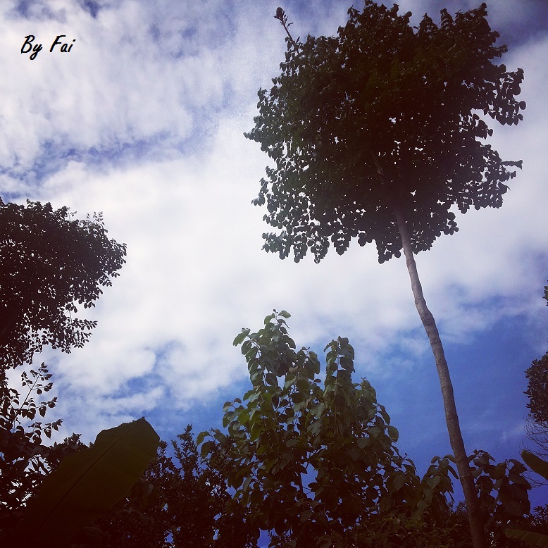 My Image 46