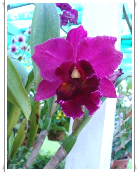 My Image 73