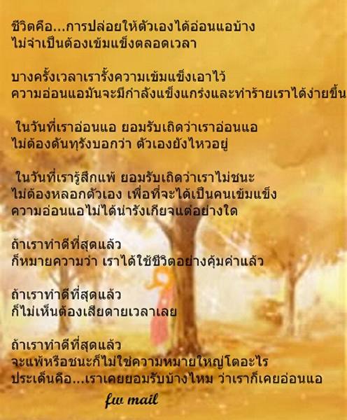 My Image 41