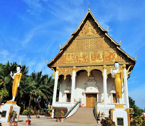 My Image 7