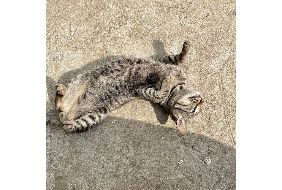 ǹҡ (ͻͺ?) ¤Ѻ