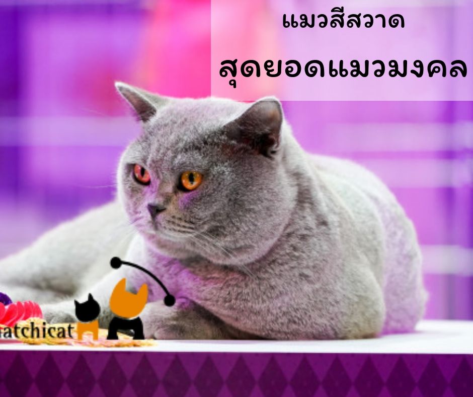 My Image 7