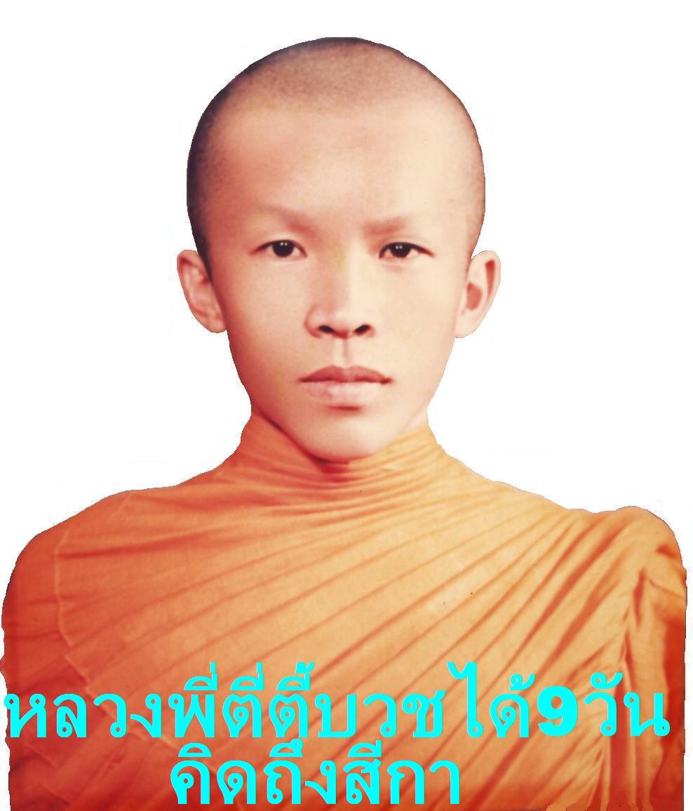 My Image 102