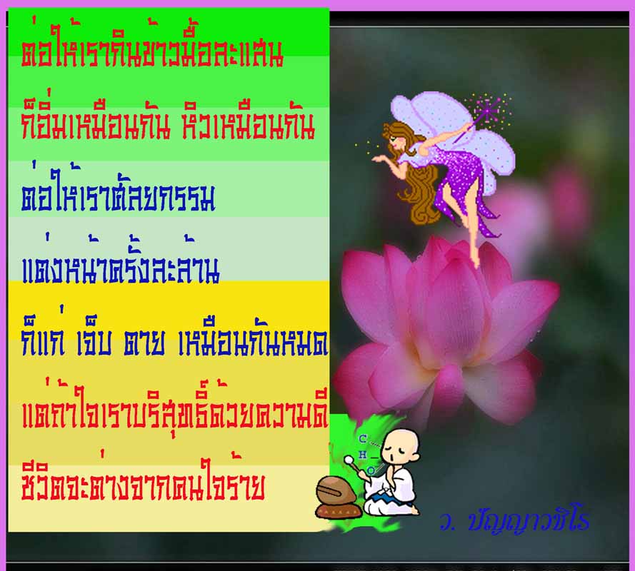 My Image 47