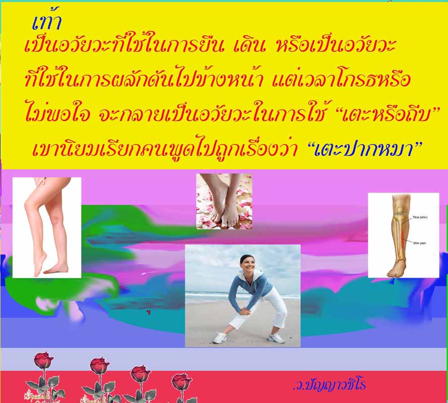 My Image 22