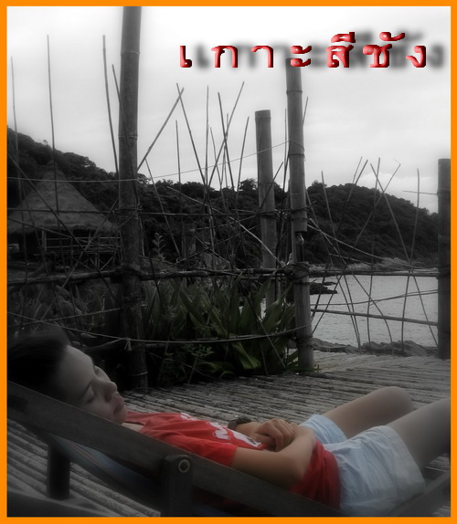 My Image 41