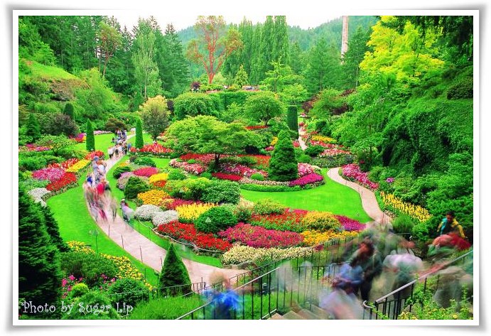 à¸œà¸¥à¸à¸²à¸£à¸„à¹‰à¸™à¸«à¸²à¸£à¸¹à¸›à¸ à¸²à¸žà¸ªà¸³à¸«à¸£à¸±à¸š the butchart gardens à¹à¸›à¸¥à¹„à¸—à¸¢