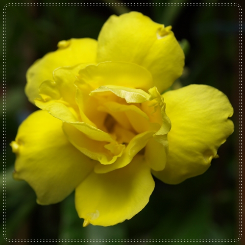 My Image 10