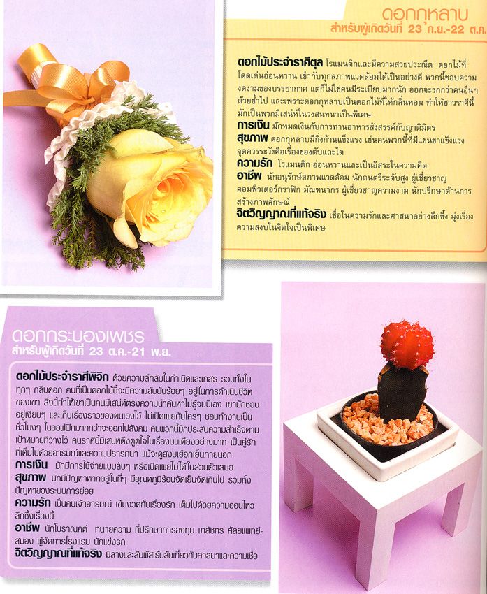 My Image 21