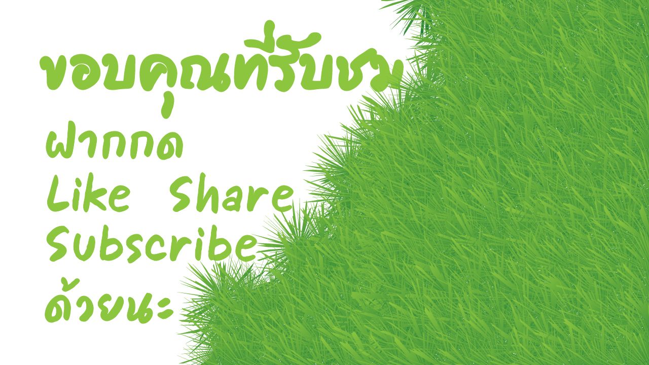 ทำพื้นหลังสนามหญ้า ใน Adobe Illustrator