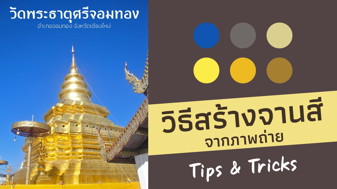 วิธีสร้างจานสีจากภาพถ่าย ใน Adobe Illustrator