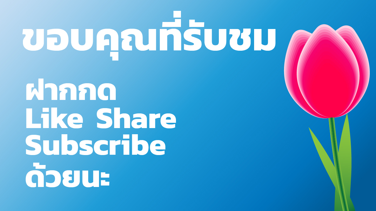 วาดดอกทิวลิปใน Adobe Illustrator