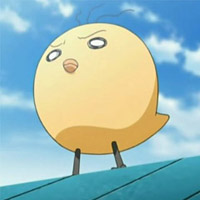 Hiyoko
