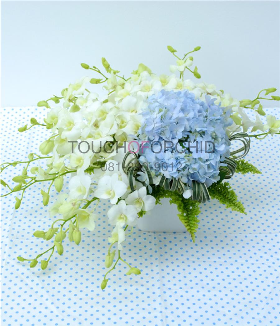My Image 12