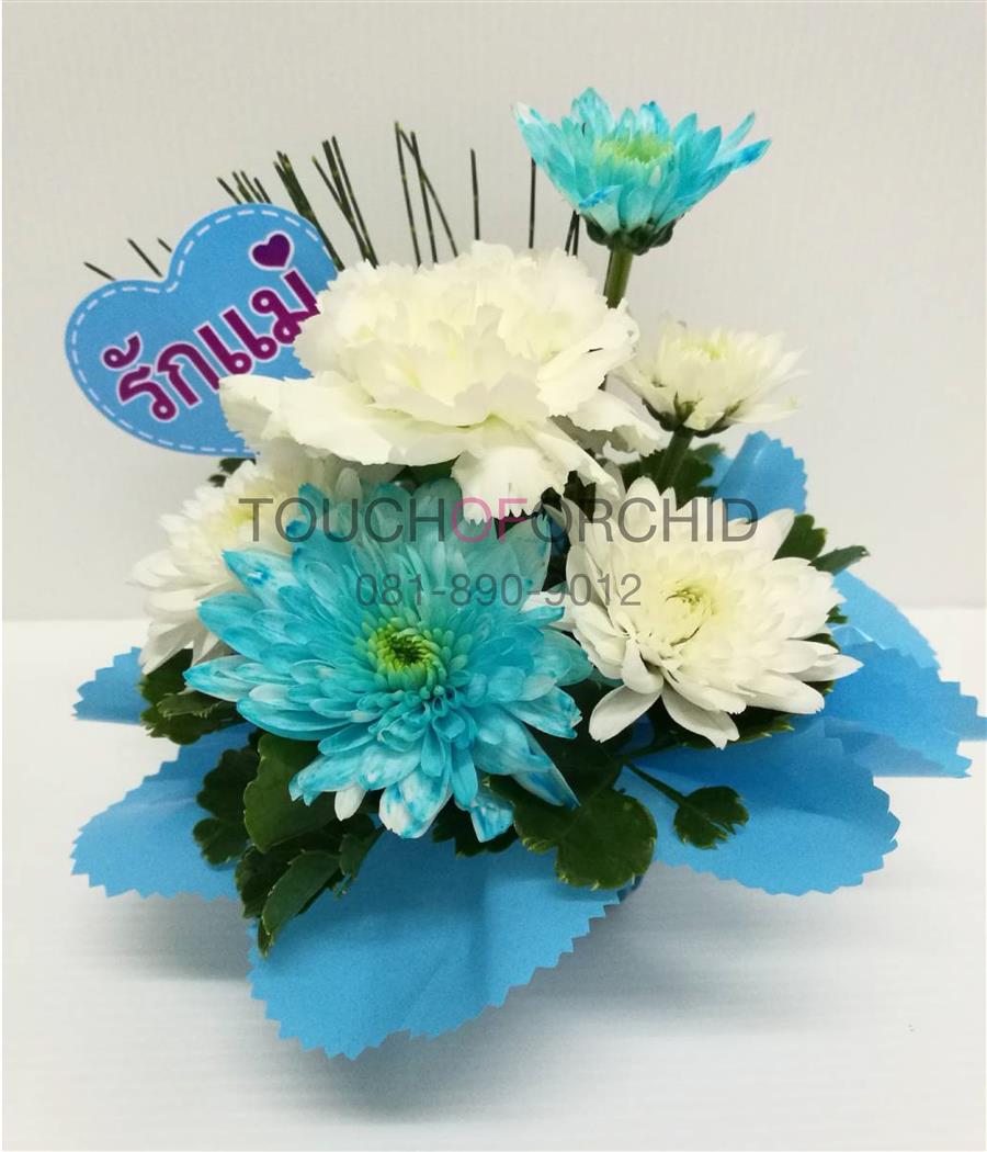 My Image 5