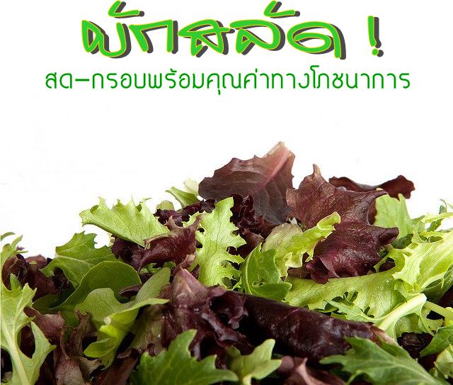 My Image 17