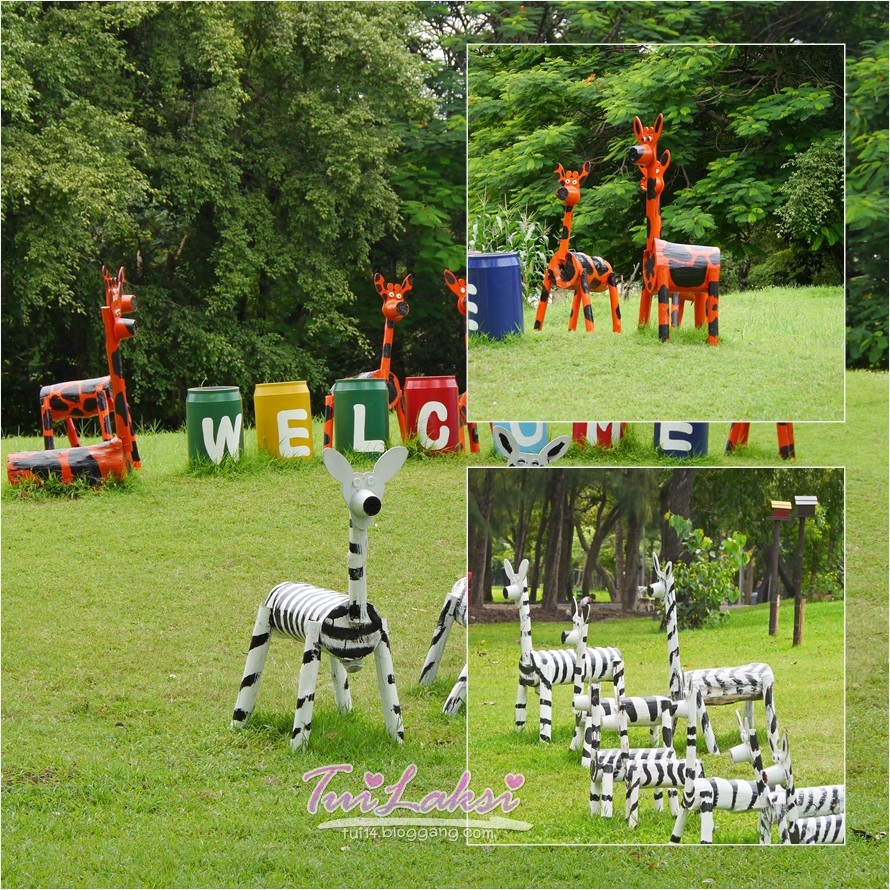 My Image 42