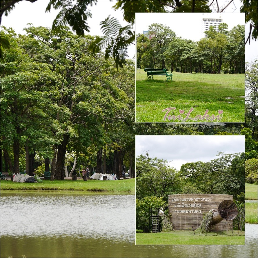 My Image 16