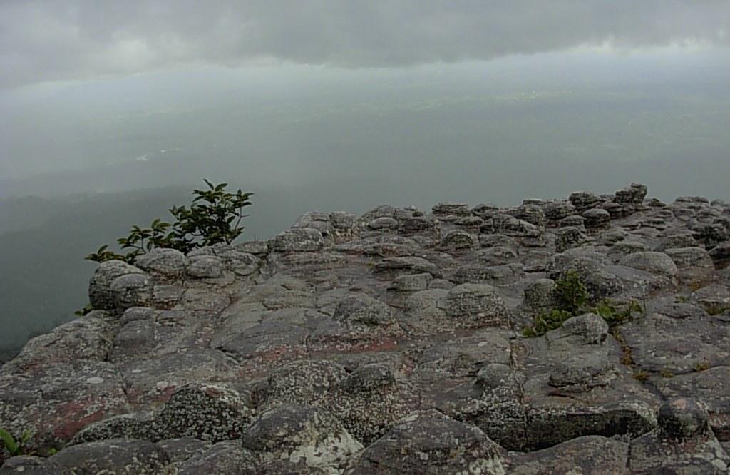 Flowers Won't Grow (In Gardens Of Stone) Don Williams ความหมาย