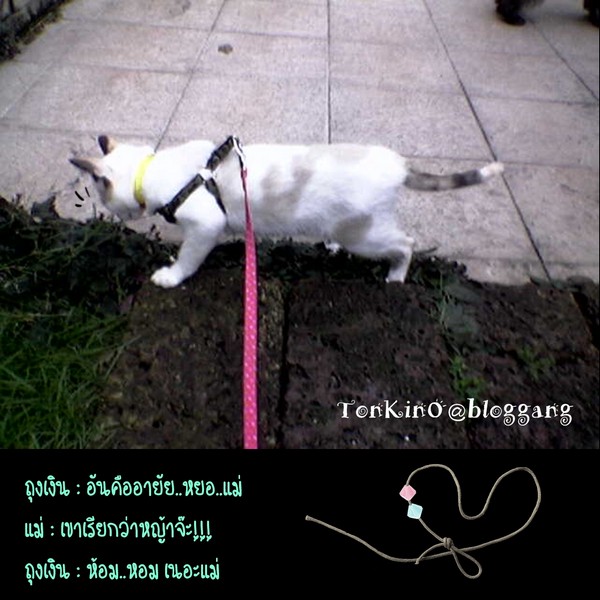 My Image 75
