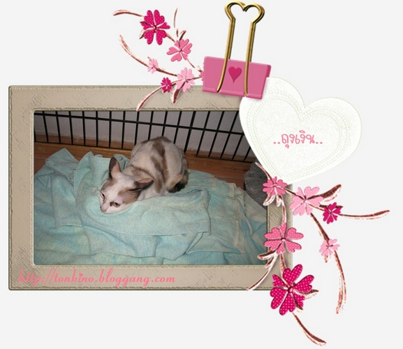 อันดับหนึ่ง 97+ ภาพพื้นหลัง ภาพ เบื่อ ๆ เซ็ง ๆ ครบถ้วน