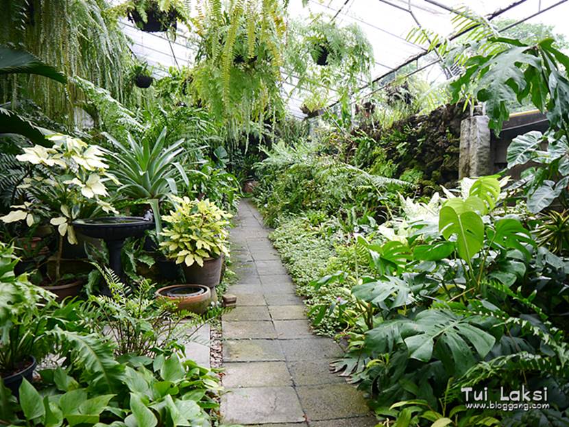 ฮัมมิงเบิร์ดส์ คิทเช่น แอนด์การ์เด้นHumming Birds Kitchen & Garden