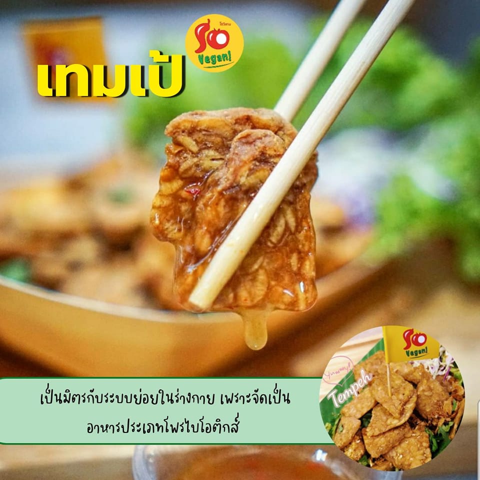 เทมเป้กรอบ อาหารเจจำพวกโปรไบโอติกที่มีโปรตีนสูง